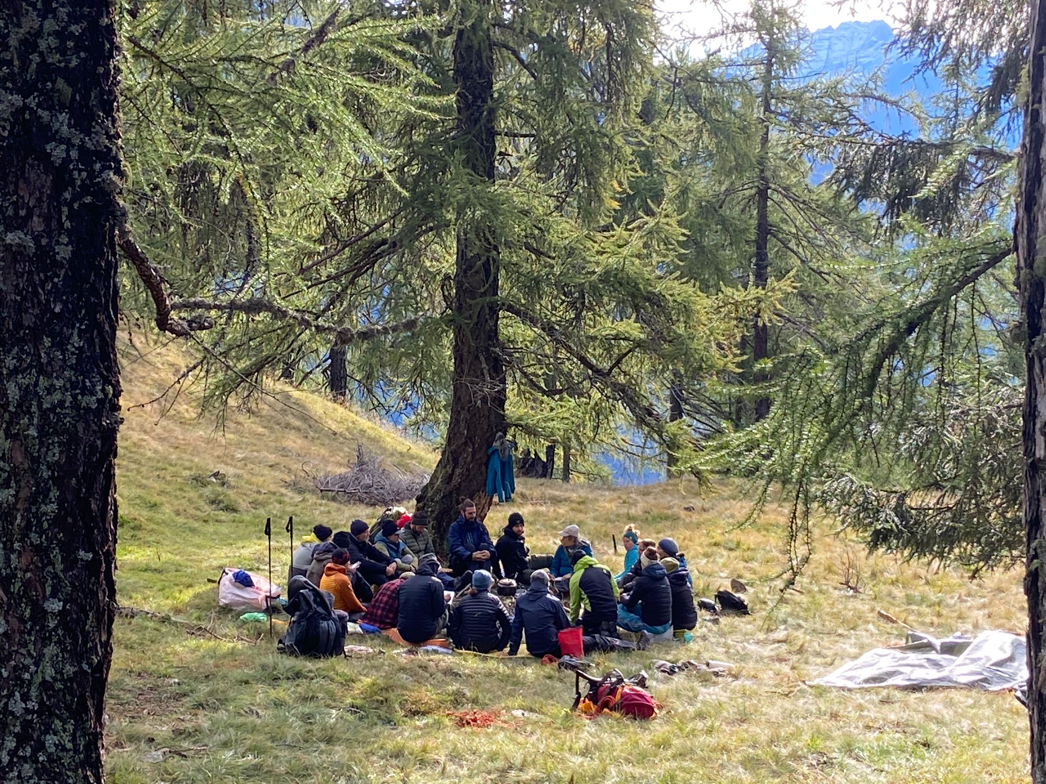 Gruppe von Menschen im Kreis unter Bäumen bei einem Retreat im Wald