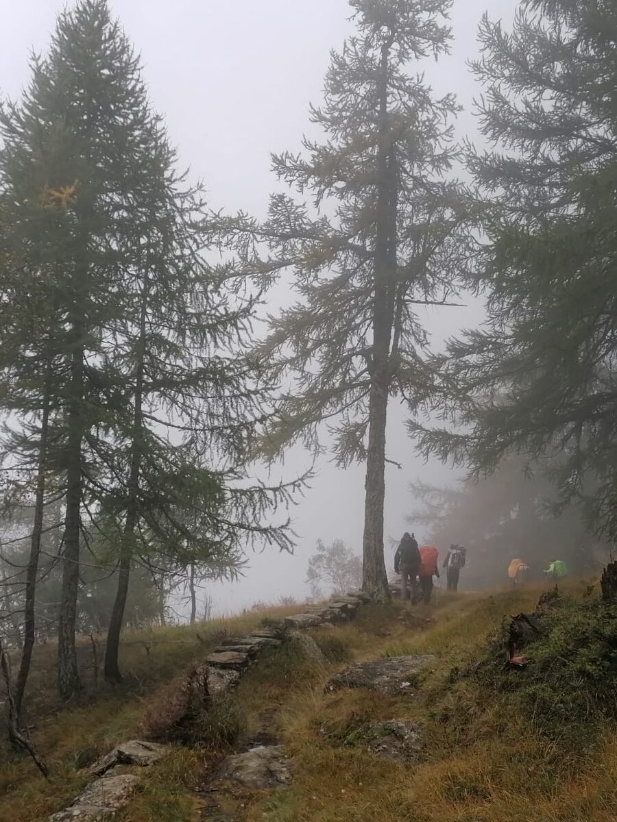 Gruppe von Wanderern auf einem nebligen Waldpfad im Ikigai Camp